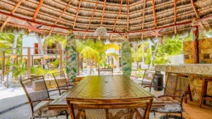palapa-patuxka-2
